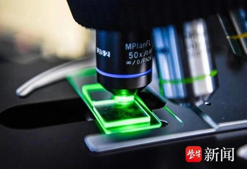 國內(nèi)首條光子芯片中試線無錫啟用，軟硬件協(xié)同引領(lǐng)計算技術(shù)新紀(jì)元